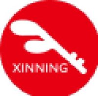 深圳市新宁现代物流有限公司_企业Logo