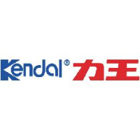 广东力王新能源股份有限公司_企业Logo