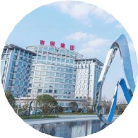 南京钢铁股份有限公司_企业Logo
