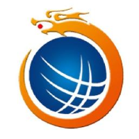 山东新龙科技股份有限公司_企业Logo