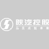 陕西汽车控股集团有限公司_企业Logo
