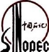 中石化胜利建设工程有限公司_企业Logo
