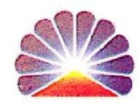 广州市番顺加油站有限公司_企业Logo