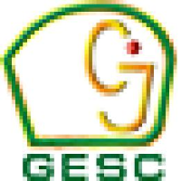 四川金象赛瑞化工股份有限公司_企业Logo