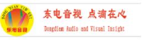 山东省东电音视系统工程有限公司_企业Logo
