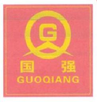 山西国强高科股份有限公司_企业Logo