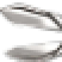前途汽车(苏州)有限公司_企业Logo