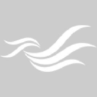 广东始兴县华洲木业有限公司_企业Logo