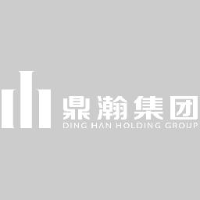 深圳市鼎瀚文化股份有限公司_企业Logo