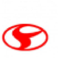 山东时风（集团）有限责任公司_企业Logo