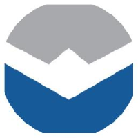 深圳王子新材料股份有限公司_企业Logo