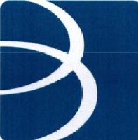 宝艺新材料股份有限公司_企业Logo