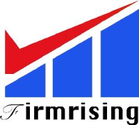 东莞市稳扬精密五金制品有限公司_企业Logo