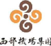 西部机场集团宁夏机场有限公司_企业Logo