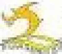 扬州龙和造船有限公司_企业Logo