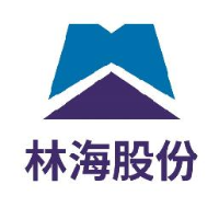林海股份有限公司_企业Logo