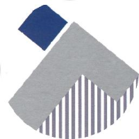宁波天龙电子股份有限公司_企业Logo