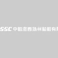 中船澄西扬州船舶有限公司_企业Logo