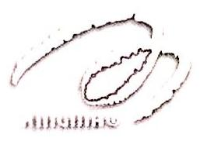 浙江兴贸玉米开发有限公司_企业Logo