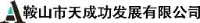 鞍山市天成功发展有限责任公司_企业Logo