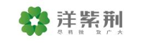 洋紫荆牙科器材(深圳)有限公司_企业Logo