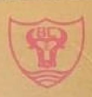 东莞百创皮业科技有限公司_企业Logo