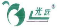 浙江光跃环保科技股份有限公司_企业Logo