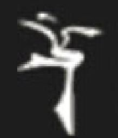 杭州新青年歌舞团股份有限公司_企业Logo