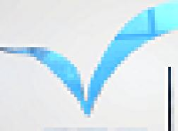 江西蓝微电子科技有限公司_企业Logo