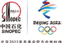 胜利油田胜临石油开发有限责任公司_企业Logo