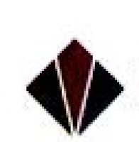 南通新昱化工有限公司_企业Logo