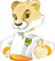河北畅奔信息科技有限公司_企业Logo
