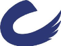 星星精密科技（深圳）有限公司_企业Logo