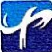 杭州中闻影视股份有限公司_企业Logo