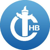 青岛华表新材料科技有限公司_企业Logo