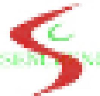 深圳市森城橡胶有限公司_企业Logo