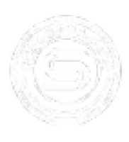 河南盛世航空服务有限责任公司_企业Logo