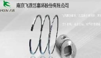 南京飞燕活塞环股份有限公司_企业Logo