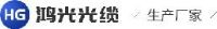 东莞鸿光光缆有限公司_企业Logo