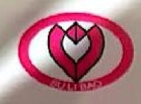 绍兴市天平电动车有限公司_企业Logo