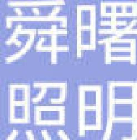 浙江舜曙照明电器有限公司_企业Logo