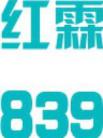 济南红霖实业股份有限公司_企业Logo