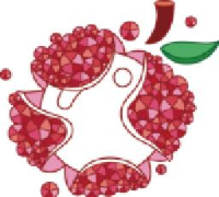 深圳南荔工坊创意文化有限公司_企业Logo