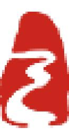 宜昌三峡日报新媒体有限责任公司_企业Logo