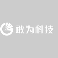武汉敢为科技有限公司_企业Logo