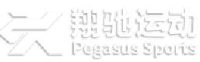 湖北翔驰运动用品股份有限公司_企业Logo
