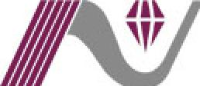 上海纳微涂层有限公司_企业Logo