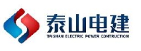 泰山电建集团有限公司_企业Logo