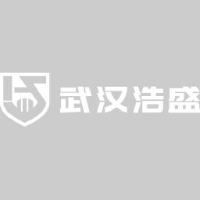 武汉昊盛科技集团有限公司_企业Logo