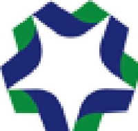 山东胜星化工有限公司_企业Logo